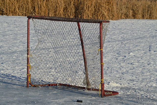 Fansenes stemme: De bedste oplevelser fra red wings’ hjemmekampe